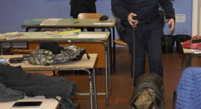 Droga, il cane dei Carabinieri in azione nelle scuole