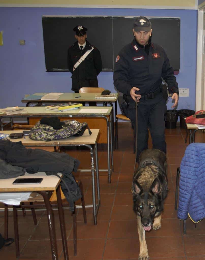 Droga, il cane dei Carabinieri in azione nelle scuole