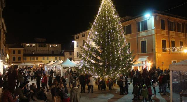 Natale a Pietrasanta: addobba l’albero della tua città