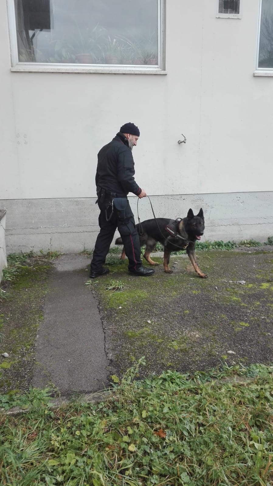 Scuole sicure, i Carabinieri col cane antidroga in Garfagnana e Mediavalle