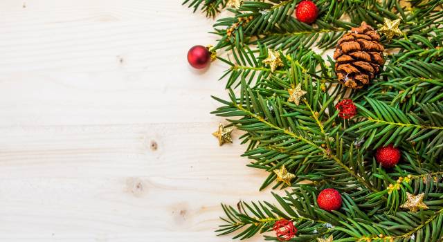 Libri sotto l’albero e Maratona di lettura in versione “Christmas”: la Biblioteca comunale di Seravezza è già in clima natalizio