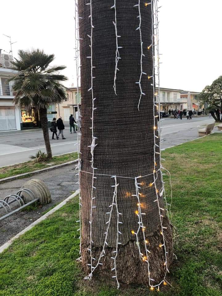 Vandali in Passeggiata, strappate le luci natalizie dalle palme