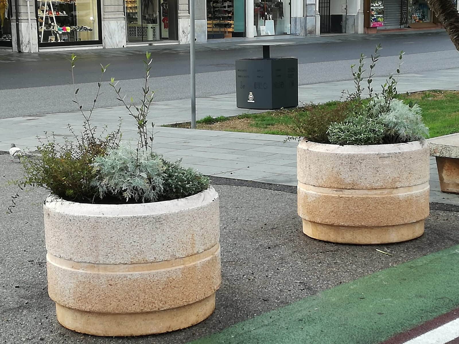 Fioriere in Passeggiata e nuovi lecci in piazza Piave