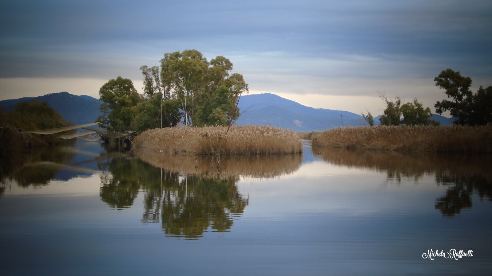 Massaciuccoli