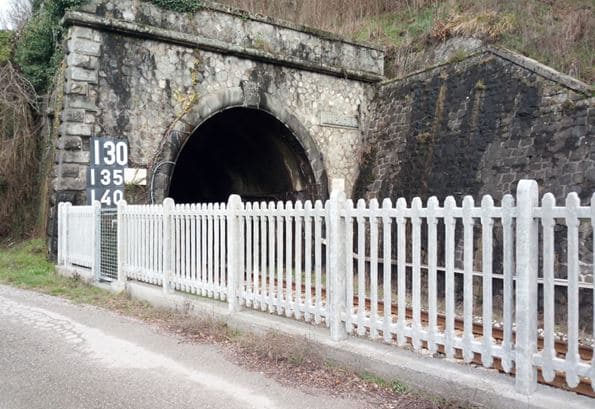 Un treno regionale proveniente da Aulla, in direzione Lucca, con a bordo 50 passeggeri, si arresta all’interno della galleria Lupacino: esercitazione della Protezione Civile