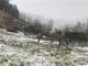 IMG 20190130 WA0004