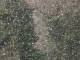 IMG 20190130 WA0007