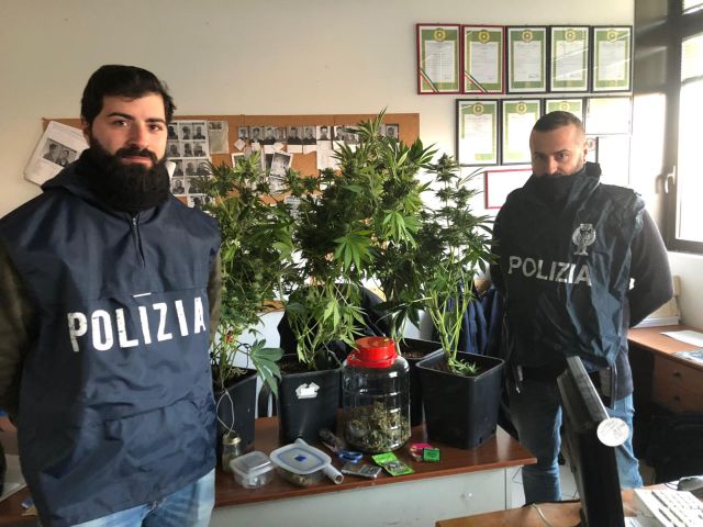 Aveva trasformato lo sgabuzzino di casa in una serra per la coltivazione della marijuana