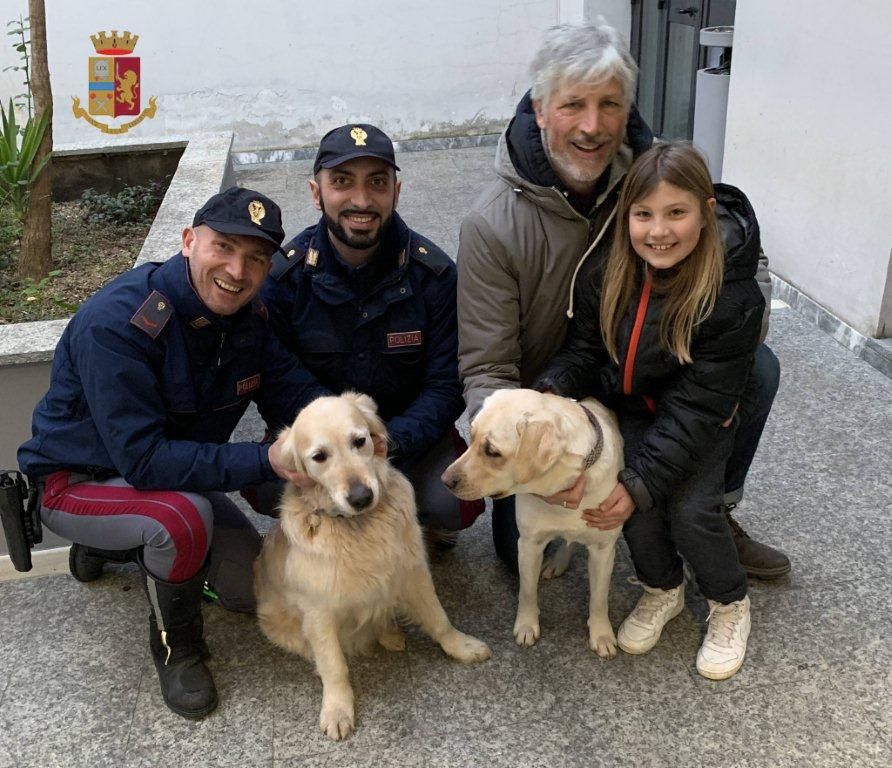 Cani in pericolo in A/1 e S.G.C.: la Polstrada riconsegna ai padroni Bessy, Bonnie e Polo