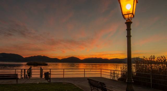 La notte di San Lorenzo in battello sul lago di Massaciuccoli