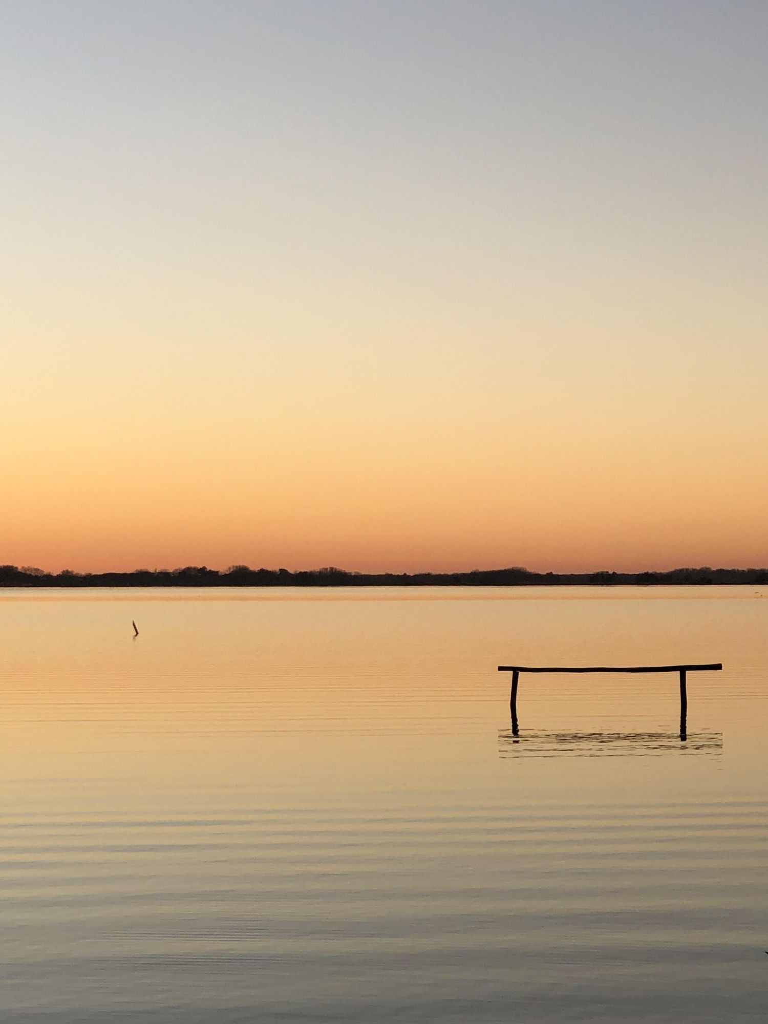 Oasi LIPU Lago di Massaciuccoli