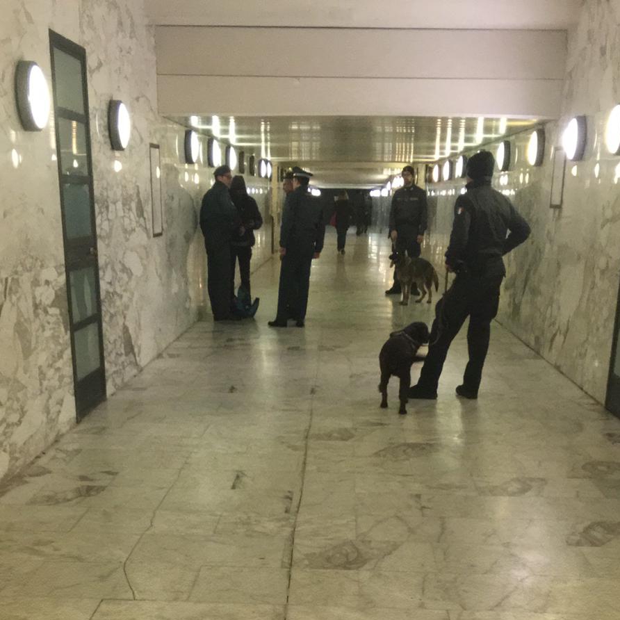 La Guardia di Finanza coi cani antidroga passa al setaccio Stazione, lungomare e Torre del Lago