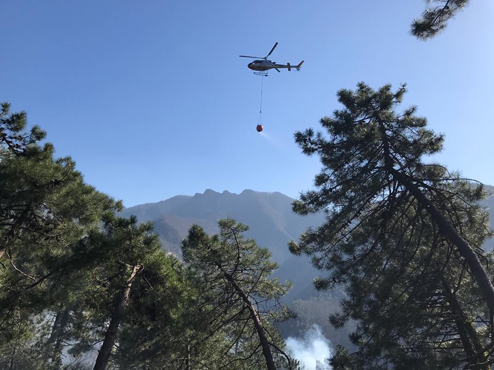 Incendio boschivo a Seravezza, chiusa la strada