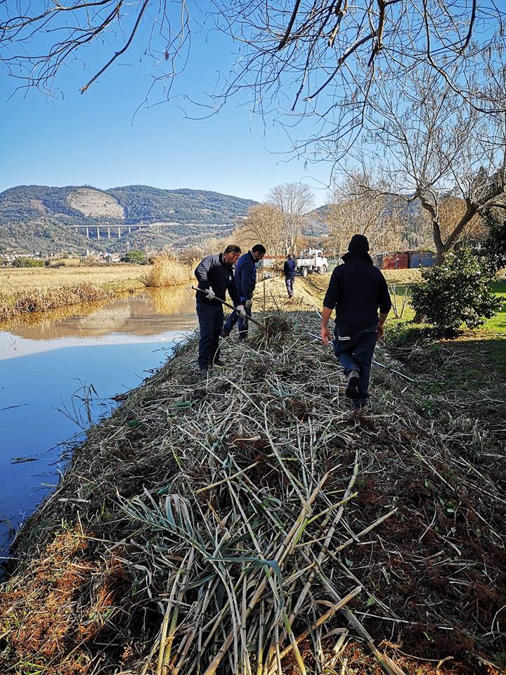 Pulizia dell’argine del canale Fugatore a Quiesa. Tagliato il canneto per la sicurezza ed il decoro della zona