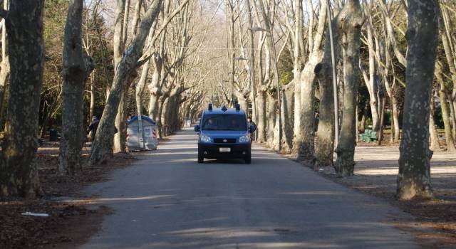 Spaccio a Viareggio, in 10 nella rete della Polizia