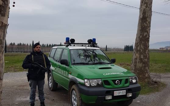 Incendi in Versilia e Garfagnana, scattano le denunce dei Forestali e dei Nas