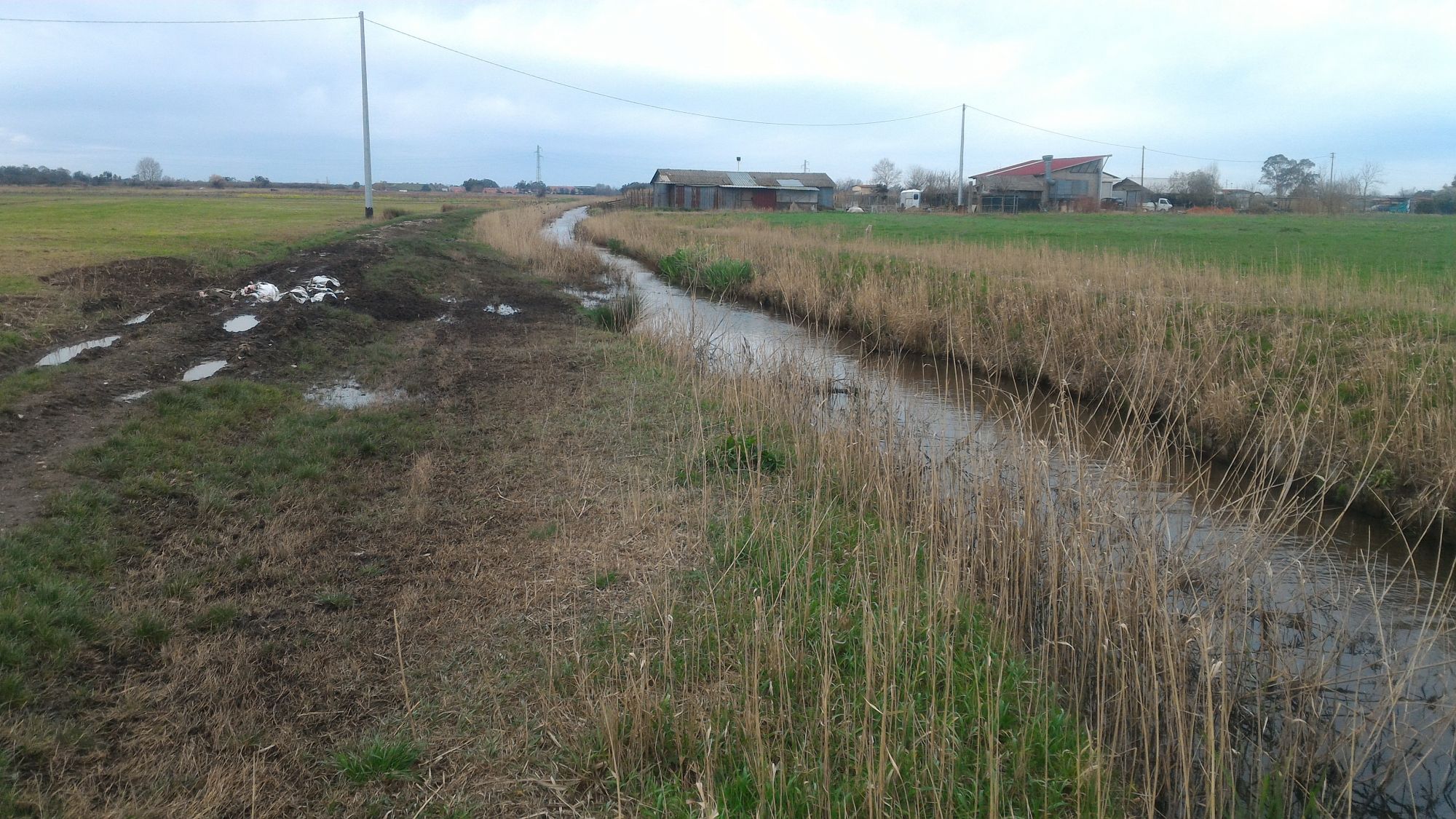 Lago di Massaciuccoli: al via il cantiere sul fosso Ponte. Intervento da 19mila euro