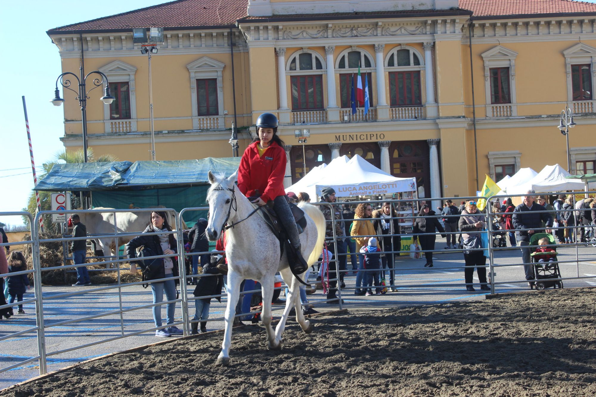 Centro sold out per San Biagio, animali fattoria Piazza Matteotti i grandi protagonisti