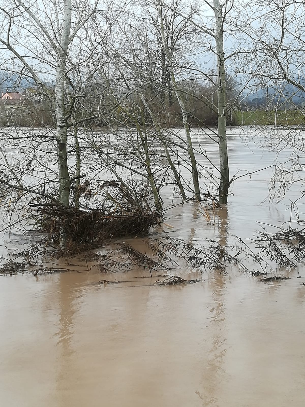 Serchio in piena, le foto