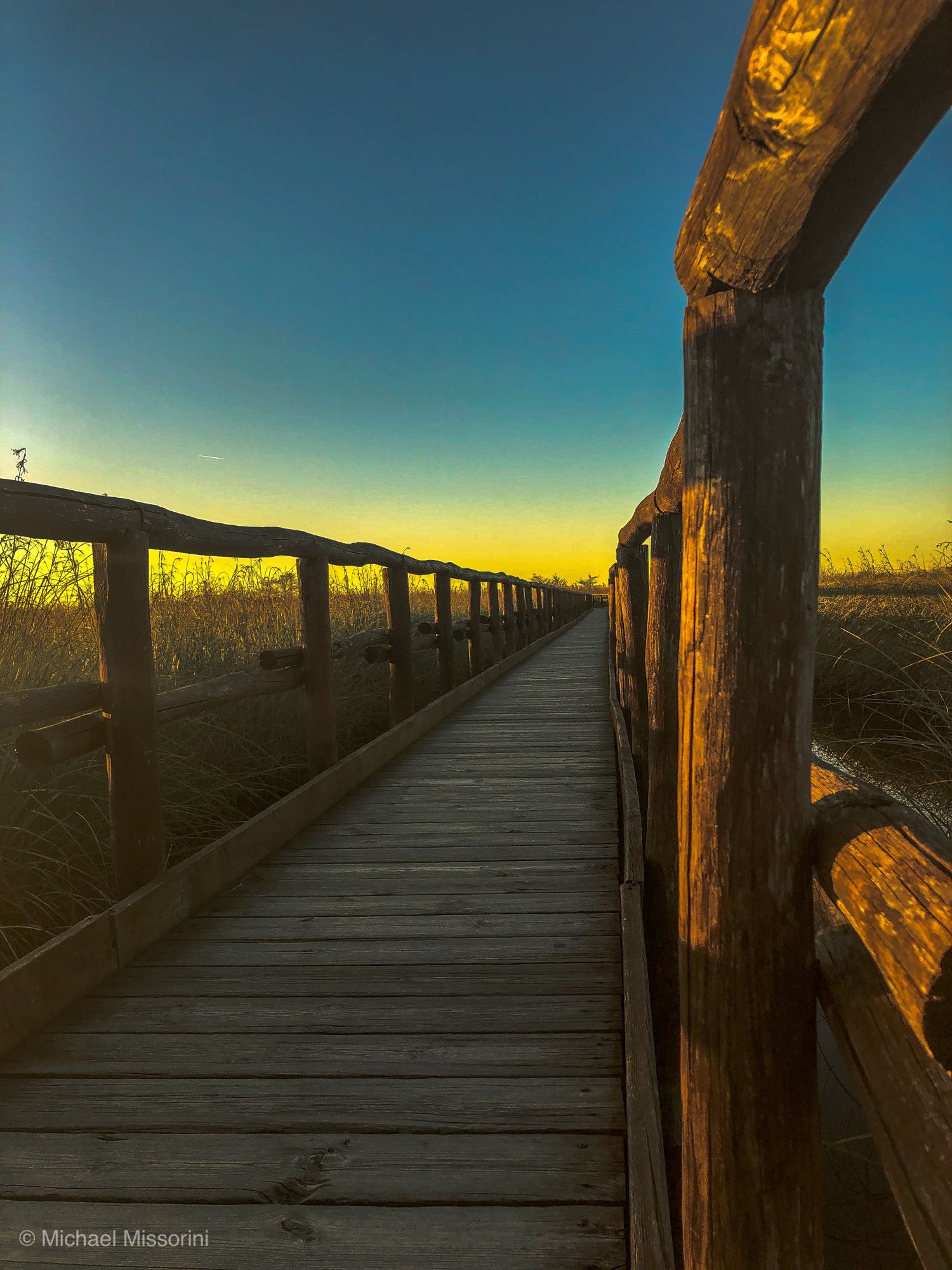 Il Parco di Migliarino San Rossore e Massaciuccoli su Rai Uno