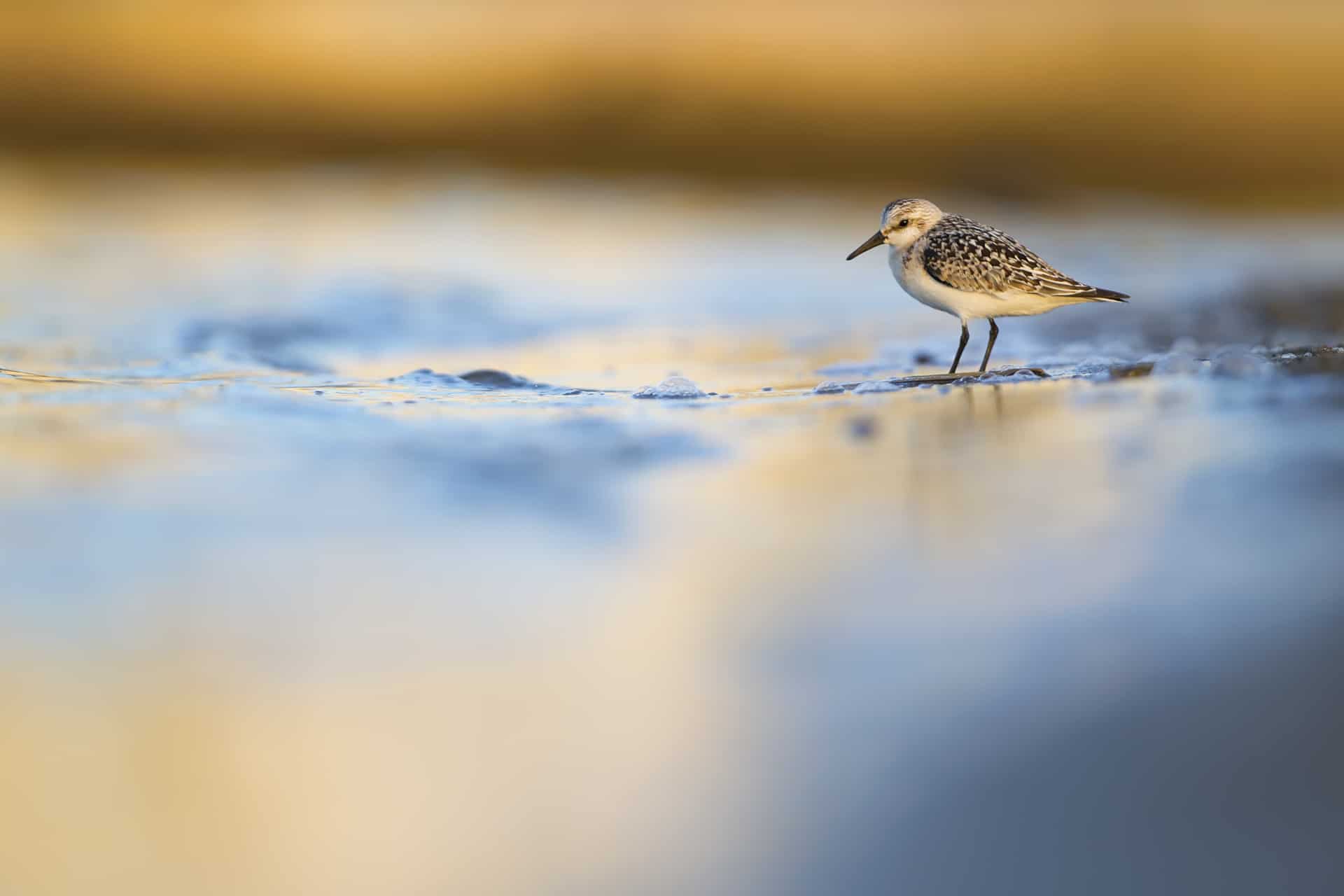 “Un fotografo al mese”, al via a Pietrasanta il ciclo di mostre con Simona Tedesco