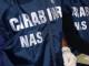 Carenze igienico-sanitarie, Nas chiudono cucina di un albergo in Versilia
