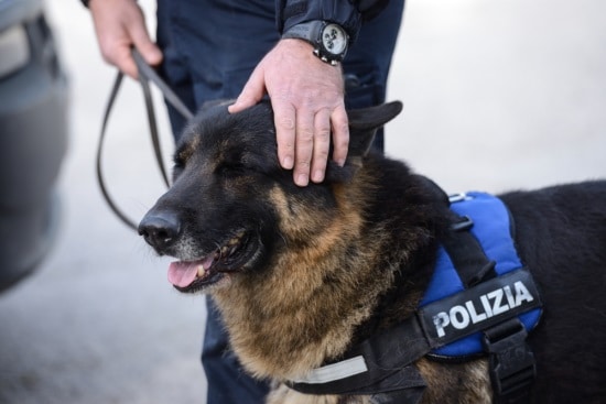 Controlli a scuola, trovati due studenti con marjuana e hashish