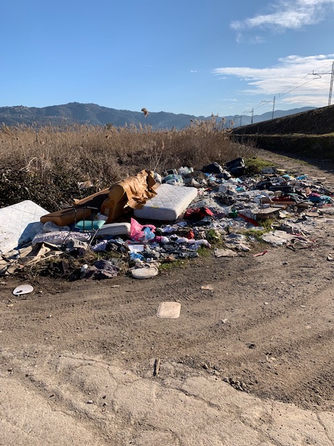 Bonifica della discarica abusiva lungo la ferrovia a Massarosa