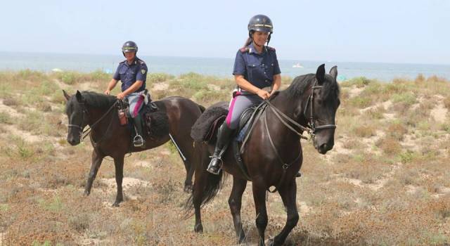 Polizia a cavallo, Marchetti chiama in campo la Regione per salvare la scuderia
