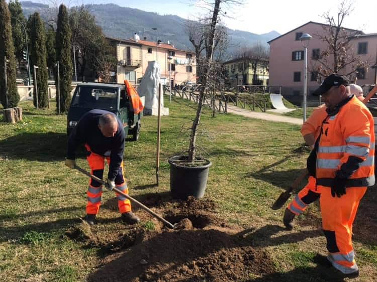 Ambiente: l’Albero dei Pensieri allo Skate Park, musica, letture e poesie per il suo battesimo