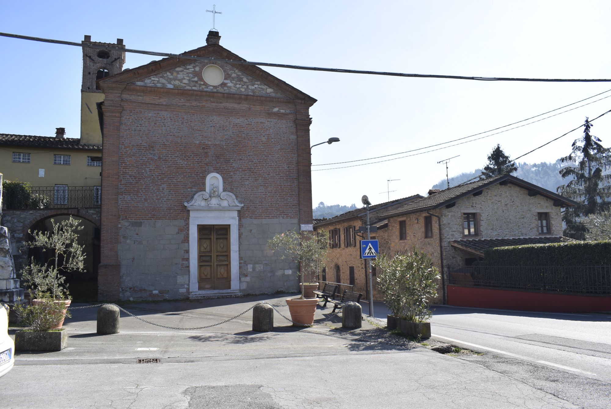 Nuovi cipressi per il paese di Montemagno