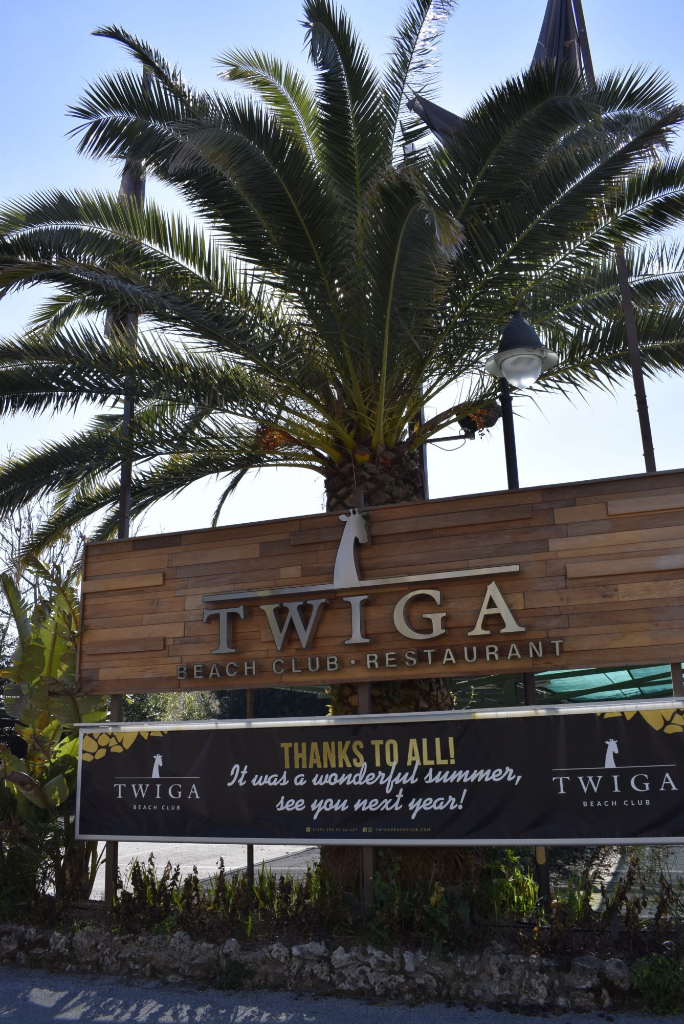 Pagoda Light al Twiga, accesso agli atti dal Pd