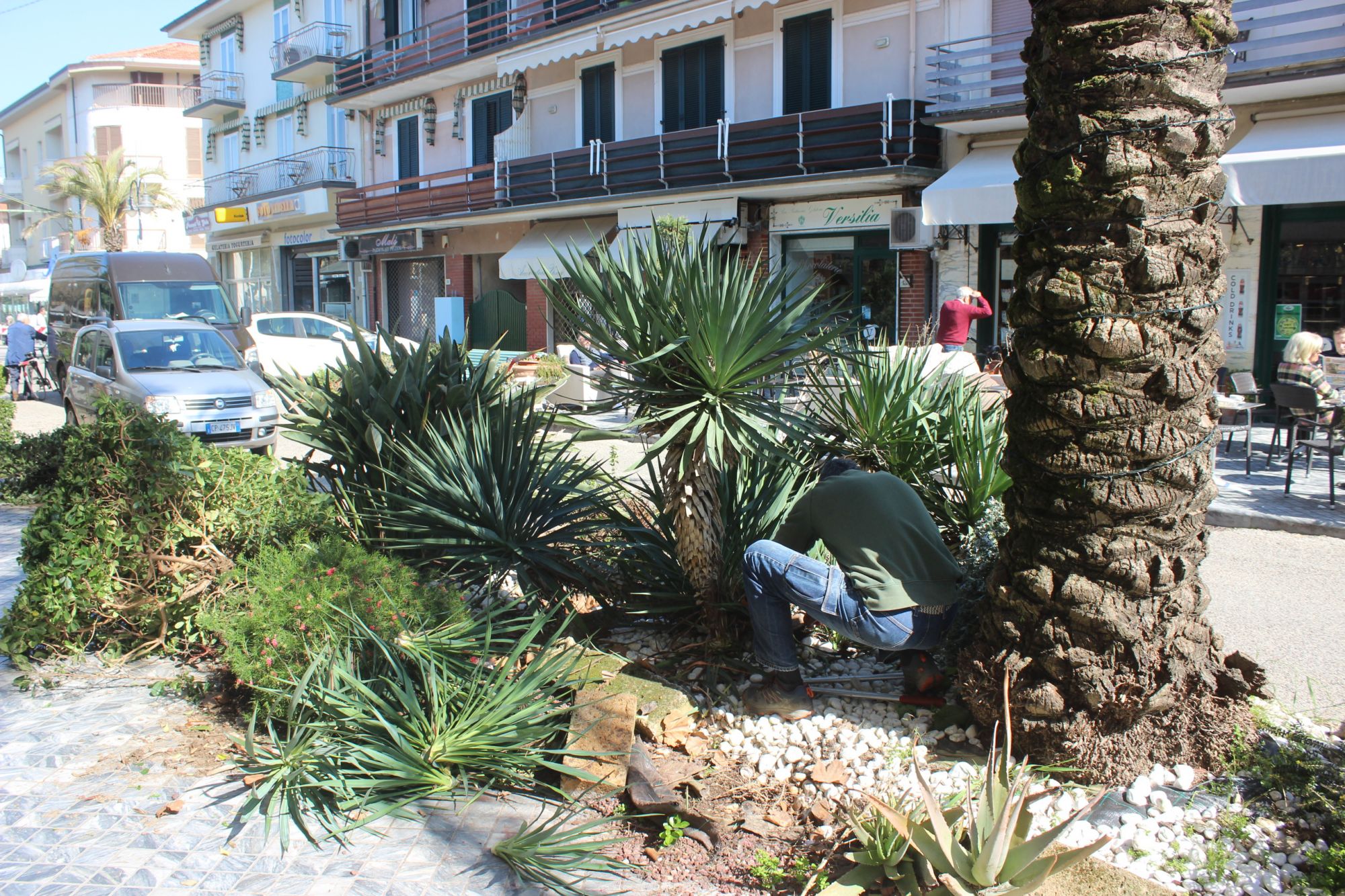 Via Versilia, al via il restyling delle aiuole