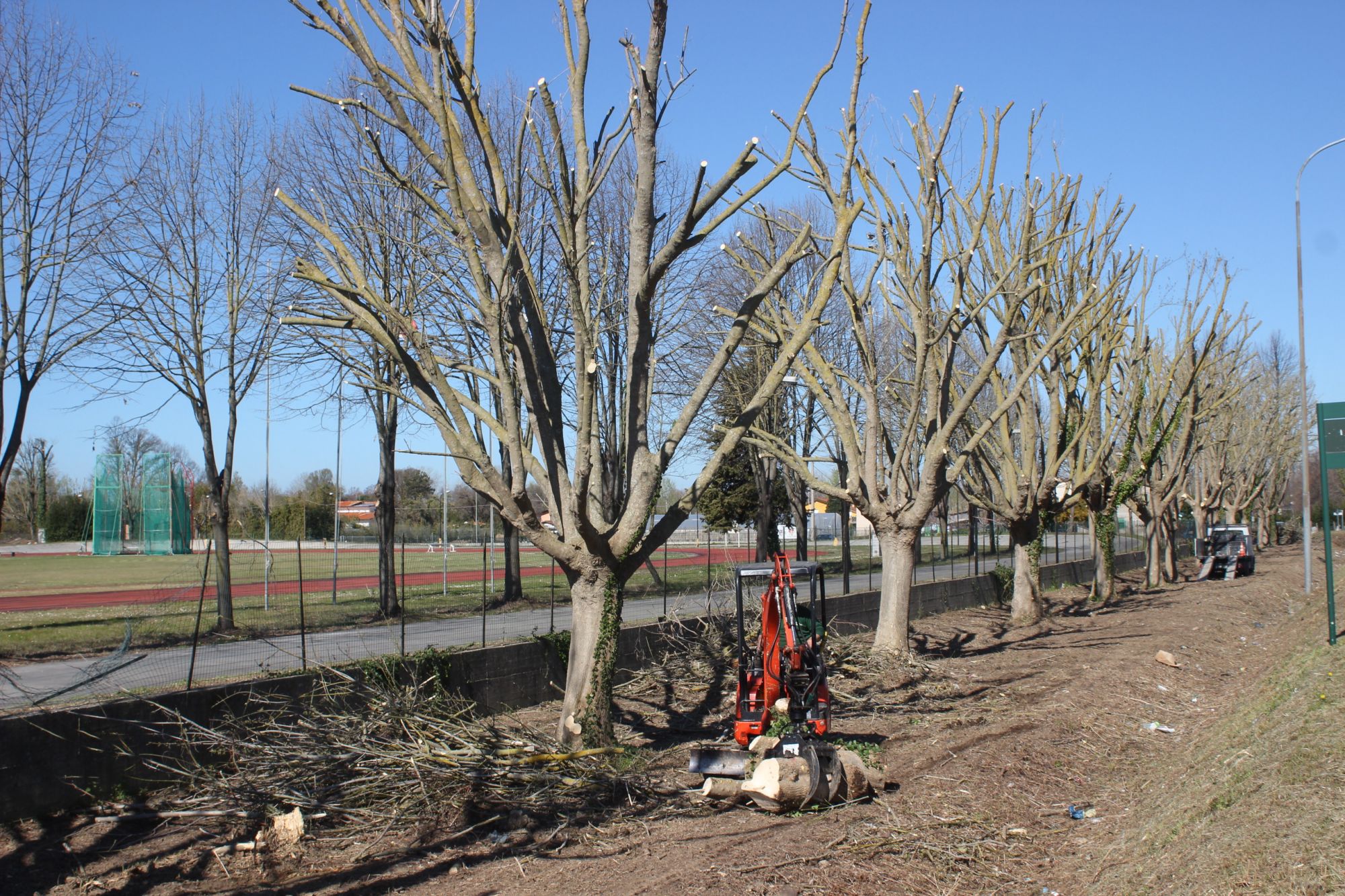 Interruzione via Antichi per potatura alberi