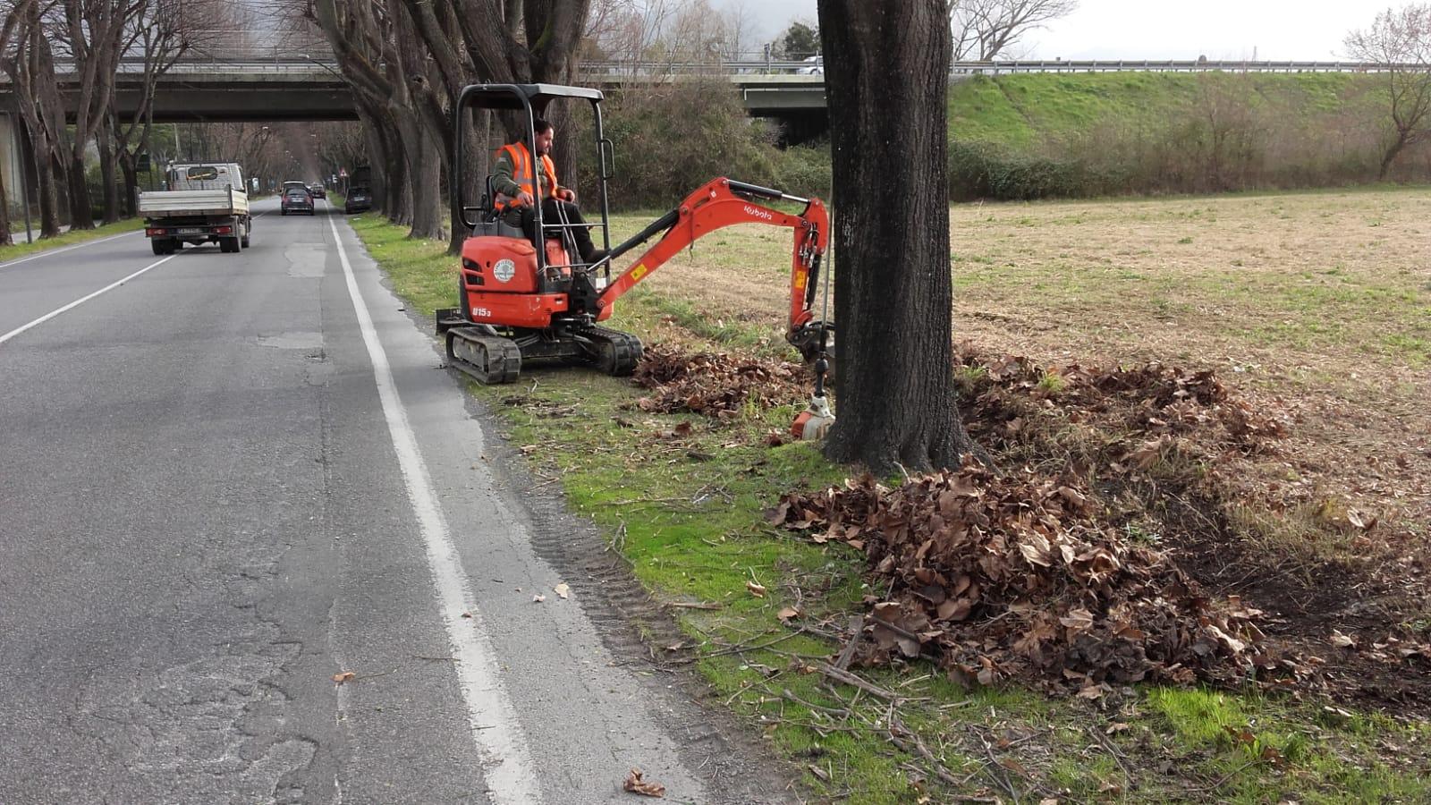 Al via la pulizia dei fossi sul viale Apua