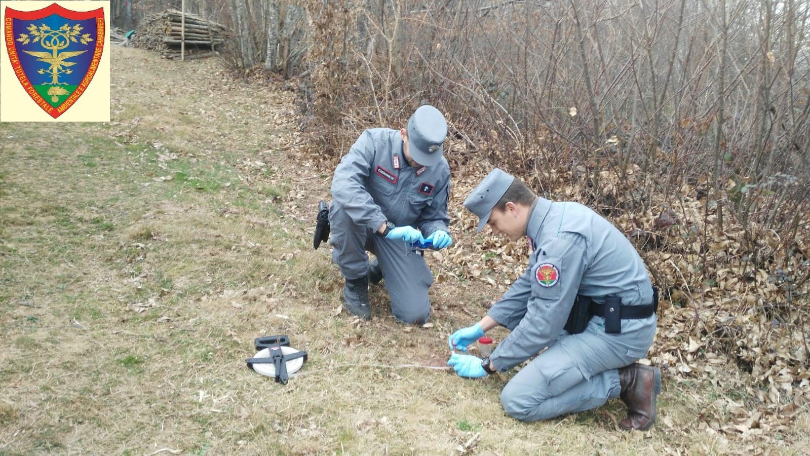 Esche avvelenate, un denunciato