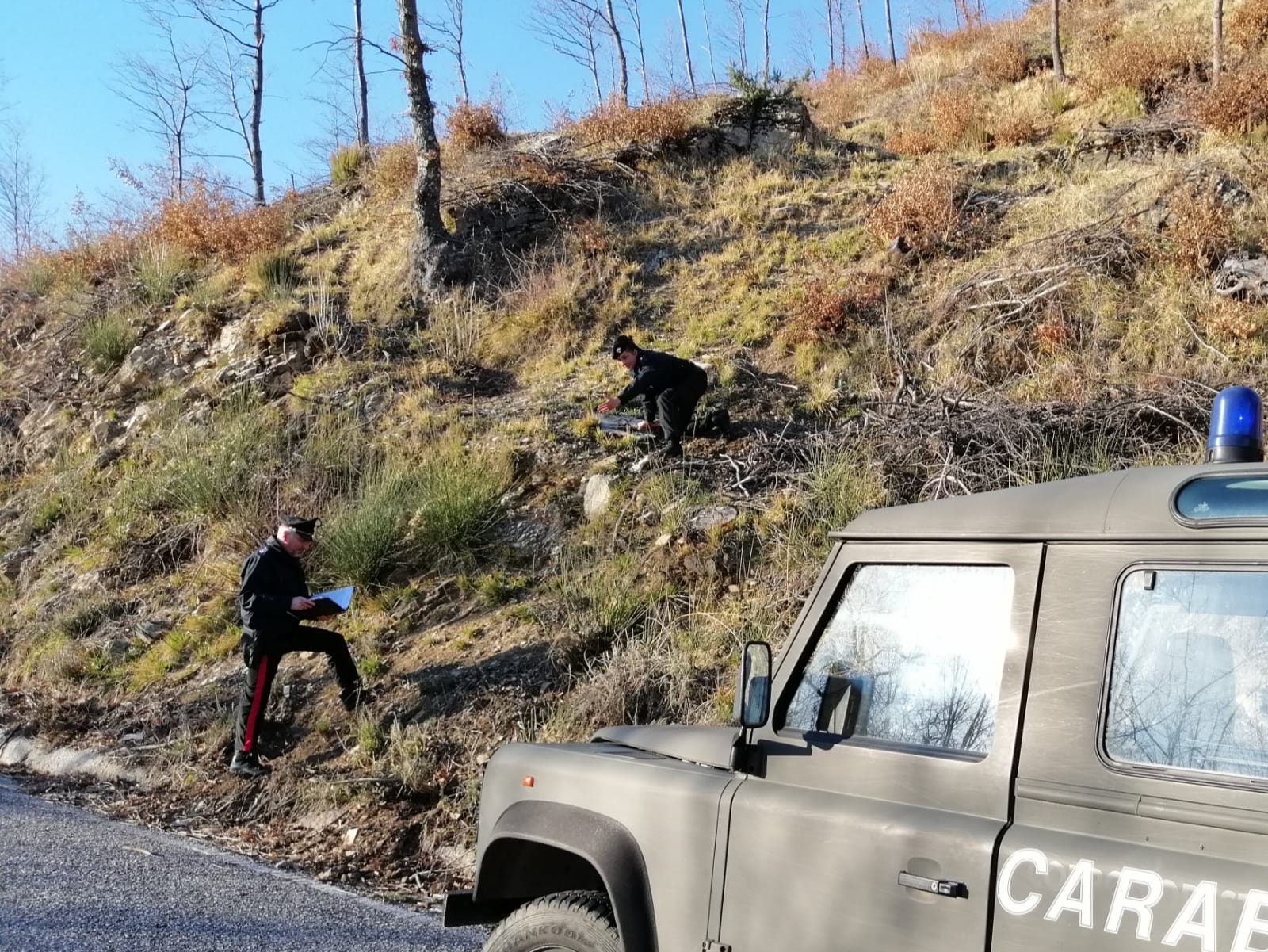 Danneggiato un querceto, denunciata la ditta boschiva