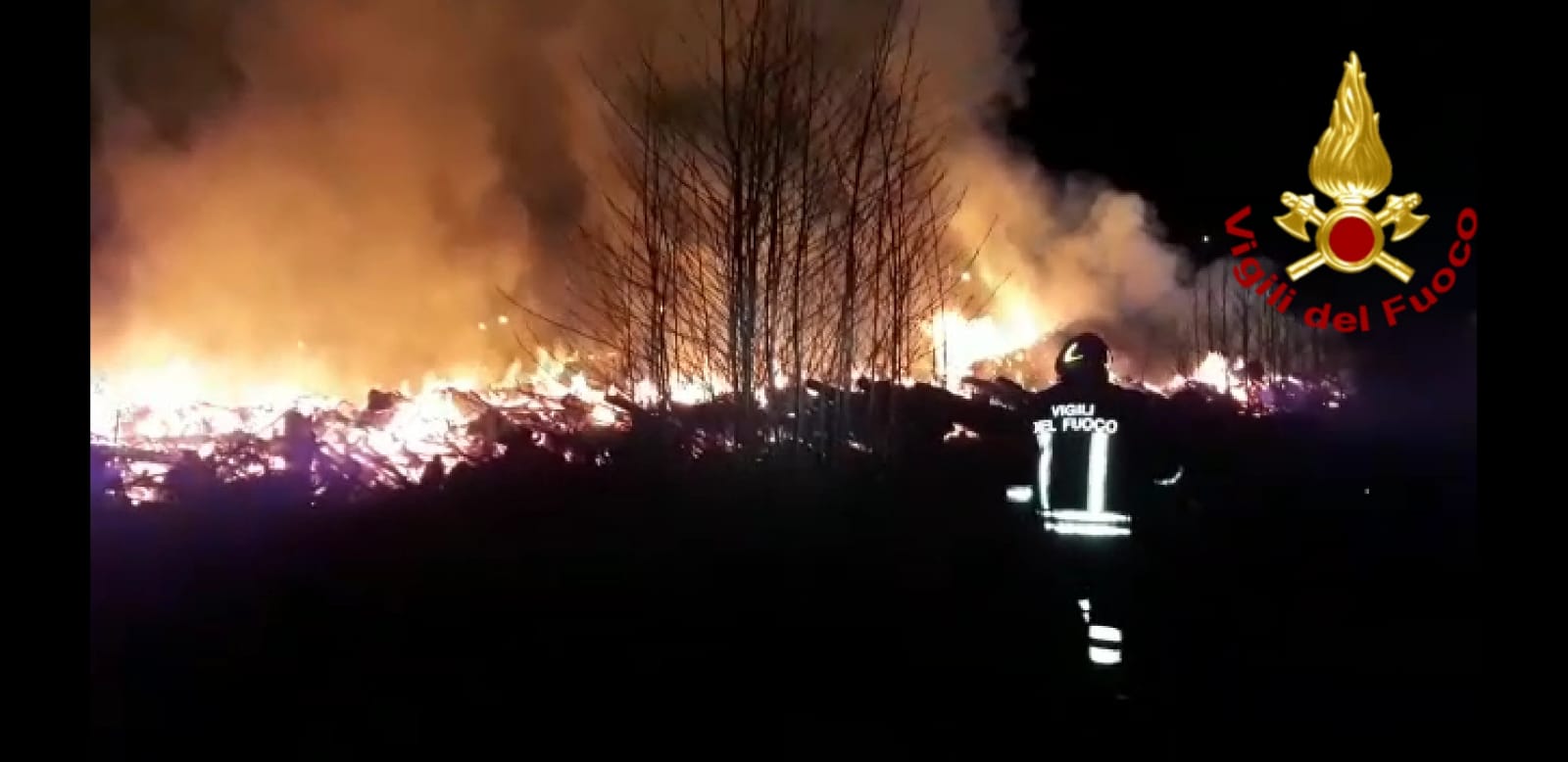 Incendio a Pietrasanta, a fuoco residui di potature
