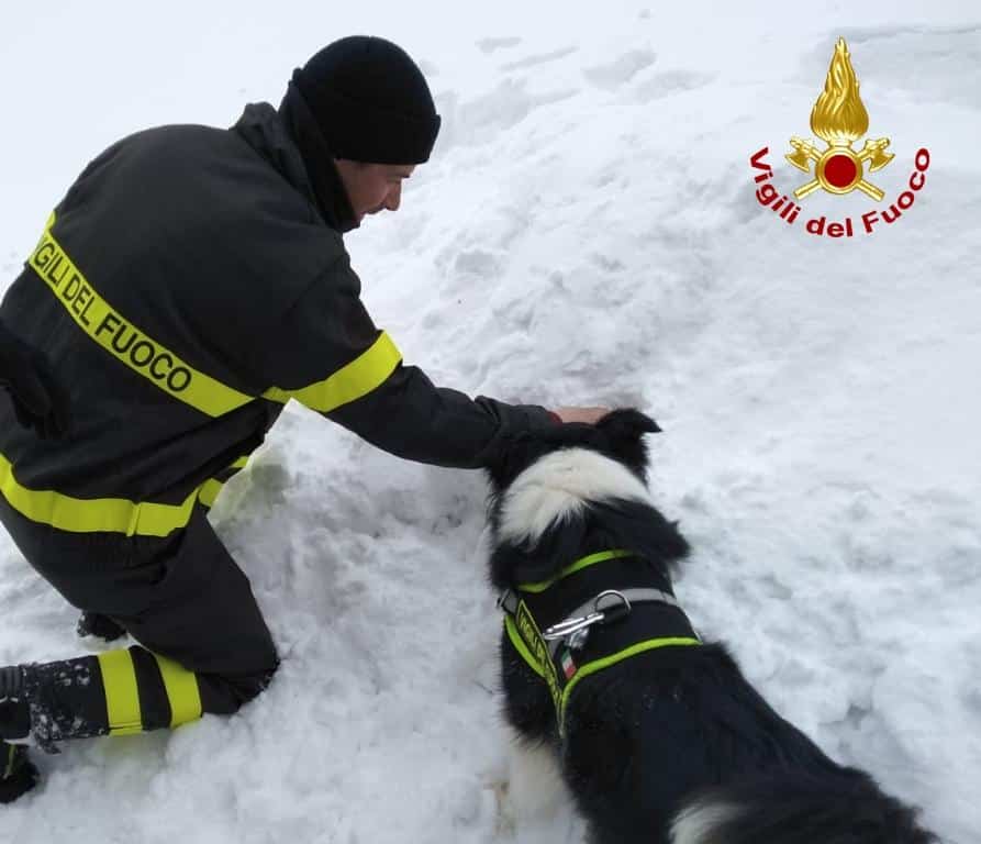 Ricerca e salvataggio di persone sepolte sotto la neve, esercitazione all’Abetone