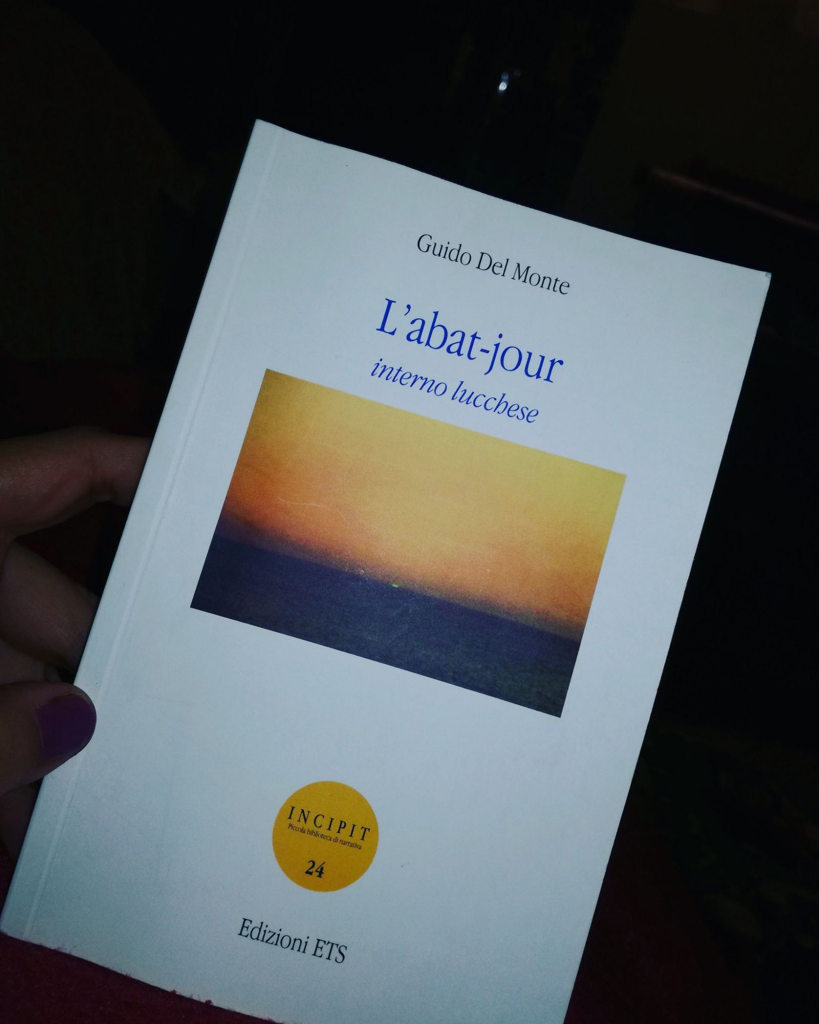 L’abat-jour [Recensione libro]