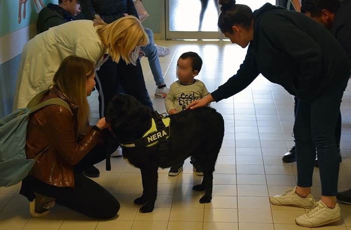 Pet therapy, per curare l’ansia nei bimbi ci pensa Nera