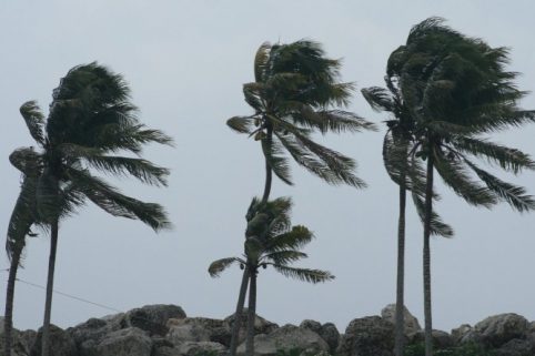 Vento forte, scatta l’allerta meteo
