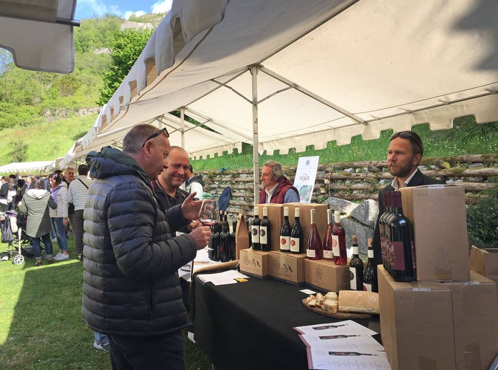 Enolia 2019