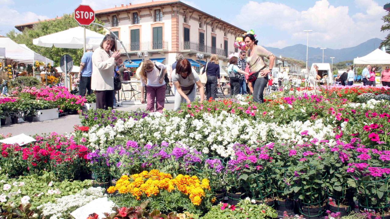 Eventi: 1 maggio con Marina in Fiore, a Tonfano è sbocciata la primavera