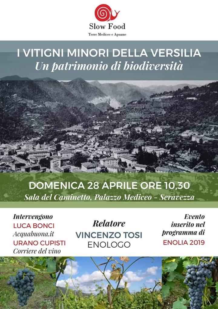 Enolia 2019: i vitigni minori della Versilia, un patrimonio da salvaguardare