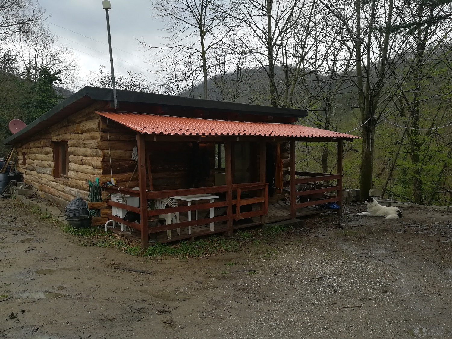 Abuso edilizio nel bosco