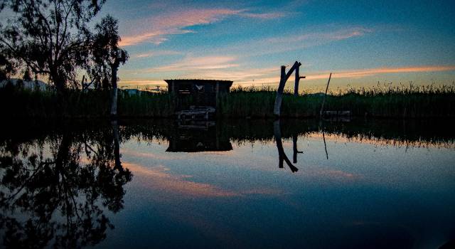 Divieto di pesca a scopo alimentare nel bacino del Lago di Massaciuccoli