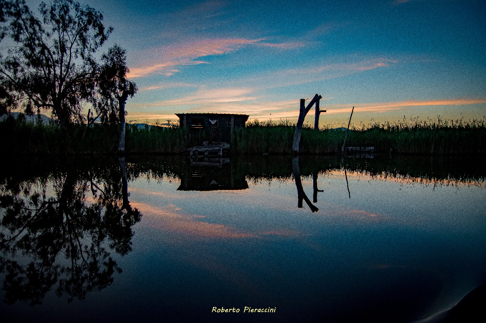 #RestoreWetlands, diamo valore alle nostre Zone Umide