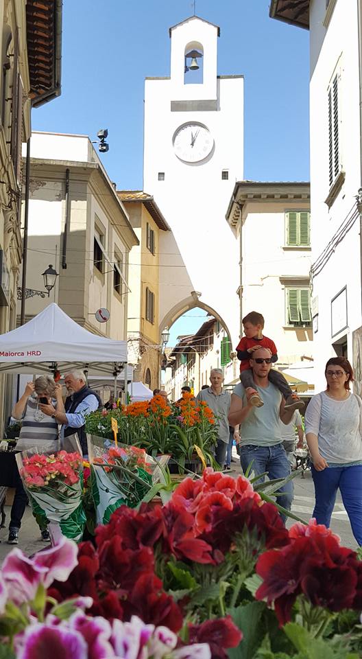 Tutto pronto a Borgo San Lorenzo per l’edizione 2019 di Fiorinfiera