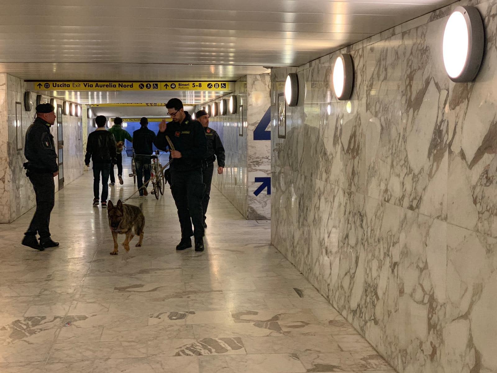 Droga, controllo con i cani in stazione e passeggiata